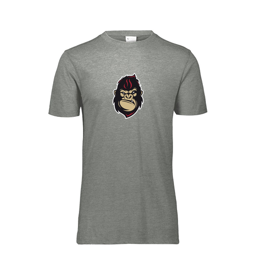 [3066.013.S-LOGO3] Youth TriBlend T-Shirt (Youth S, Gray, Logo 3)