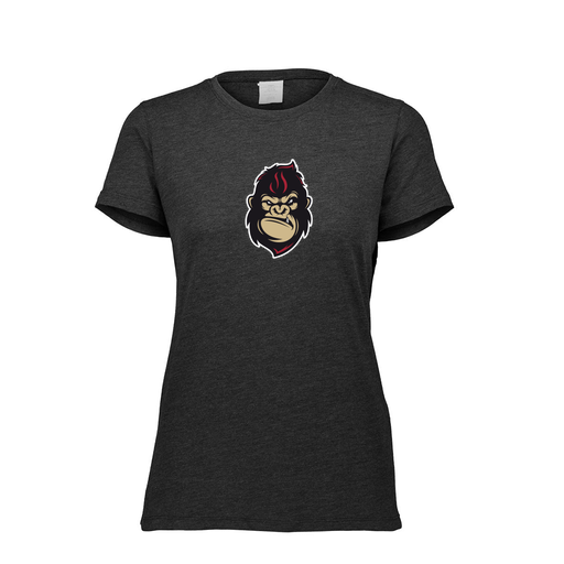 [3067.K94.XS-LOGO3] Ladies TriBlend T-Shirt (Female Adult XS, Black, Logo 3)