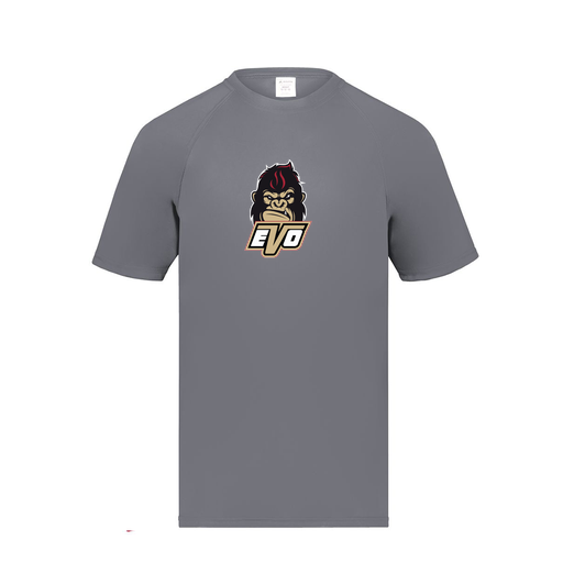 [2790.059.S-LOGO2] Men's Dri Fit T-Shirt (Adult S, Gray, Logo 2)