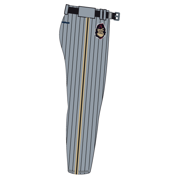 Evo Baseball 2024 - Youth Team - Extra Grey Pinstripe Pants